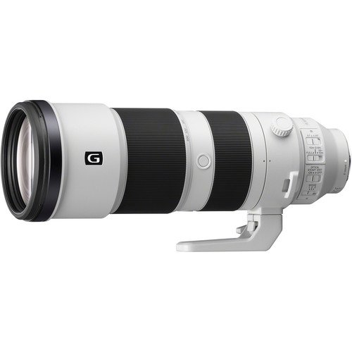 Rentals - Sony FE 200-600mm f/5.6-6.3 G OSS Lens