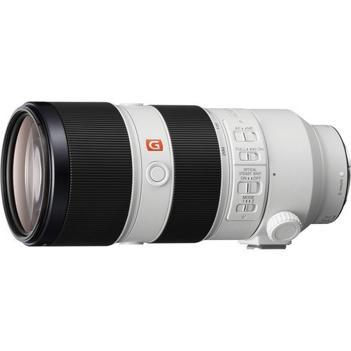 Rentals - Sony FE 70-200mm F/2.8 GM - Image 4